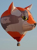 cat hot air balloon