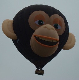 aap luchtballon